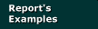 Report's examples